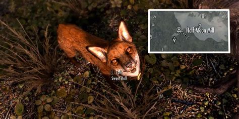Pets of skyrim quest - From stealthy foxes to web-spinning spiders - as well as goats, rabbits, and skeevers - you can recruit the pet that best matches your gameplay. With five different animal species to choose from, there's a fun and furry companion for every adventurer. (Quest "Pets of Skyrim" starts by reading the note For Sale in The Bannered Mare.) Rare Curios